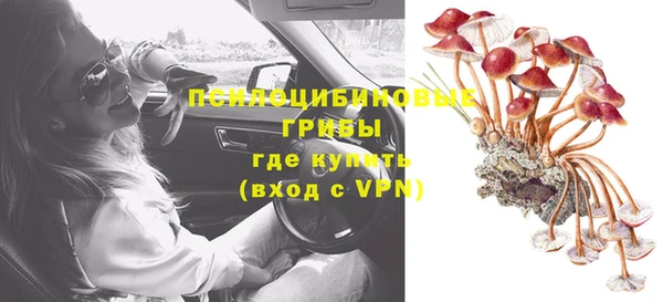 дживик Алексеевка