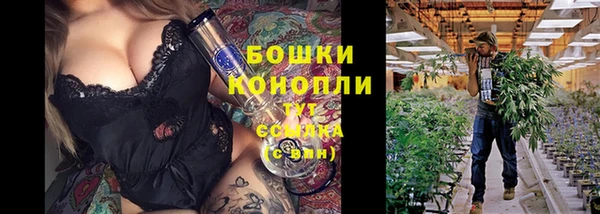 дживик Алексеевка
