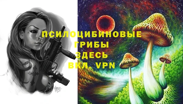 МДПВ Алексин