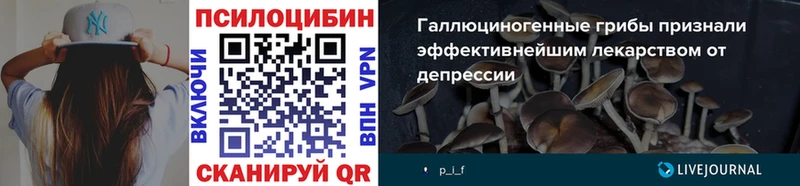 сайты даркнета как зайти  Новороссийск  Псилоцибиновые грибы Psilocybine cubensis  где найти наркотики 